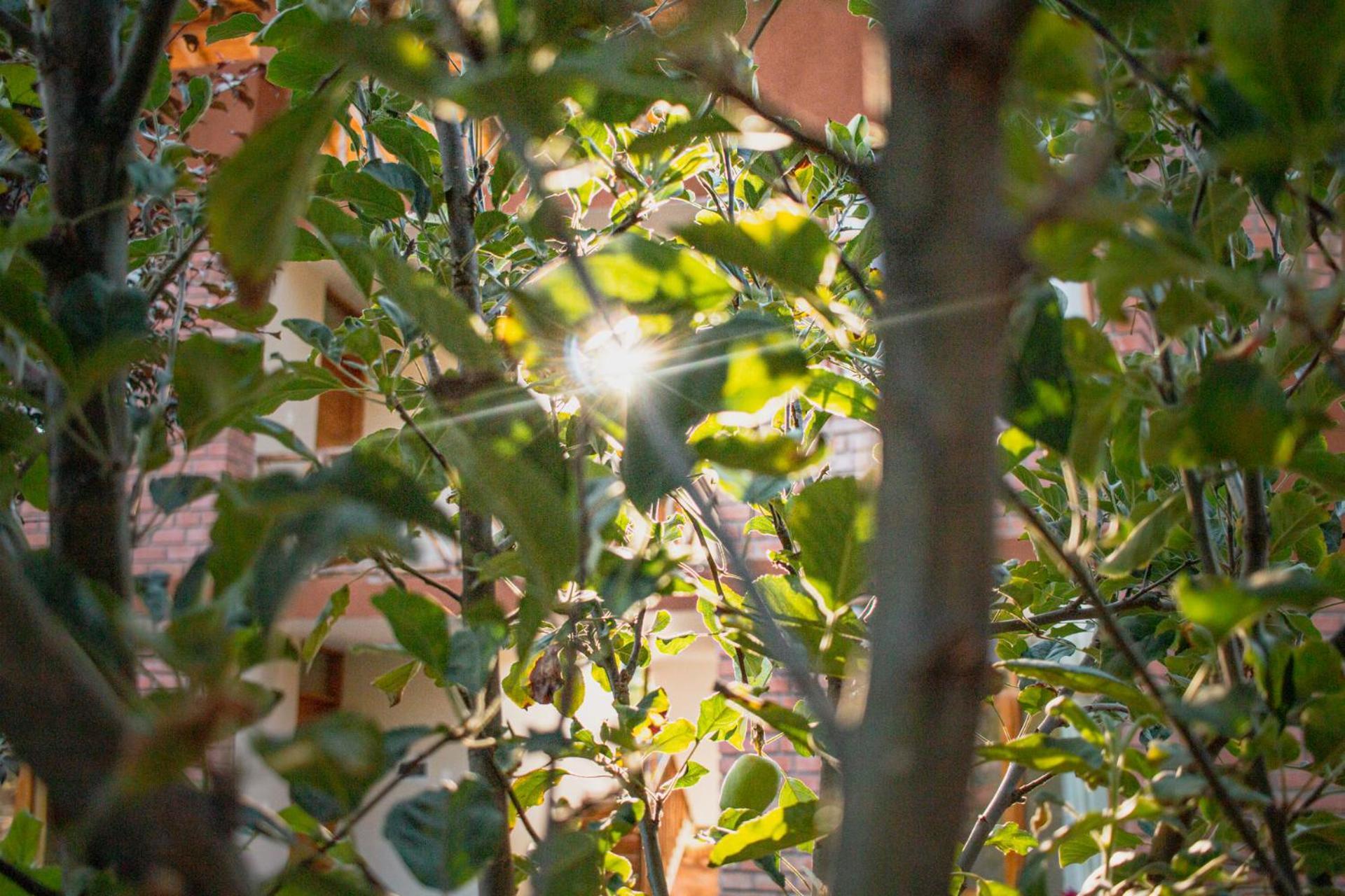 Allin Illary Eco Hospedaje Urubamba Extérieur photo